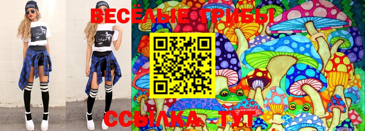 Галлюциногенные грибы Magic Shrooms Магадан