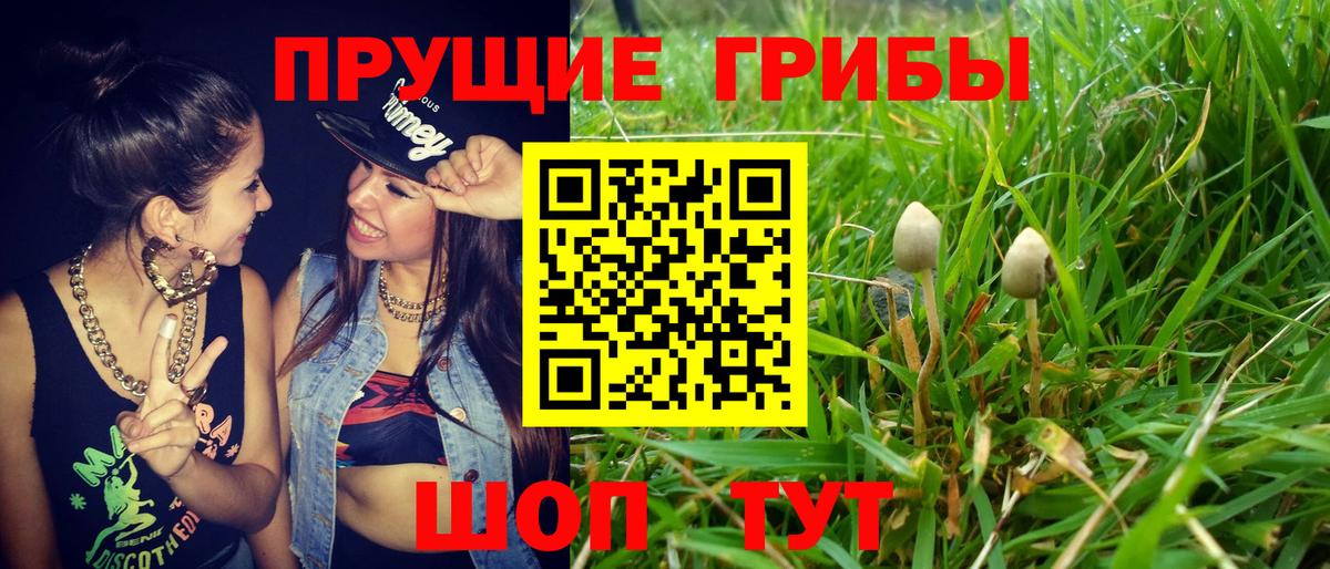 Галлюциногенные грибы Psilocybe  Вход с VPN  наркота  Магадан 