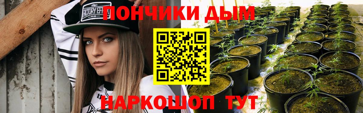 Бошки Шишки Amnesia  Канабис план  Магадан  Бошки марихуана планчик  Вход с VPN 